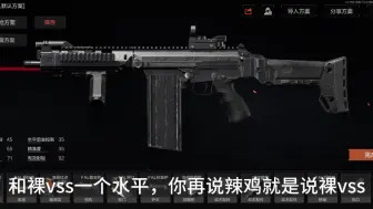 Download Video: vss？那么贵谁还打啊！现在是fal腰射的巅峰！