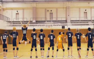 ハイキュー 搜索结果 哔哩哔哩 Bilibili