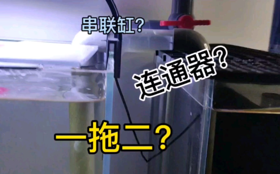 连通器这么神奇?能否一个过滤带两个缸?