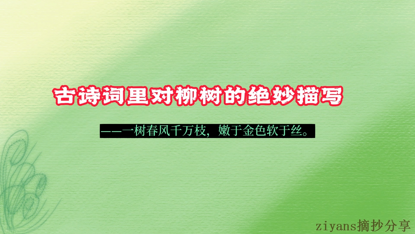 【摘录】一树春风千万枝,嫩于金色软于丝|古诗词里对柳树的绝妙描写哔哩哔哩bilibili