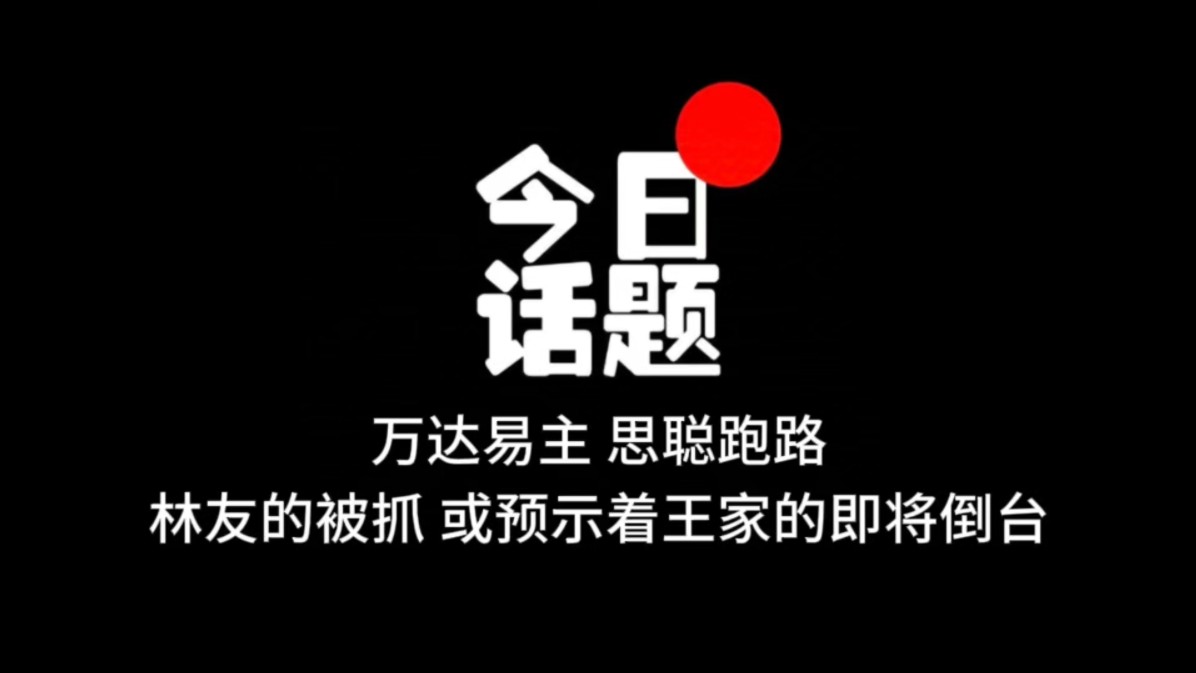 万达易主,思聪跑路,林友的被抓,或预示着王家的即将倒台哔哩哔哩bilibili