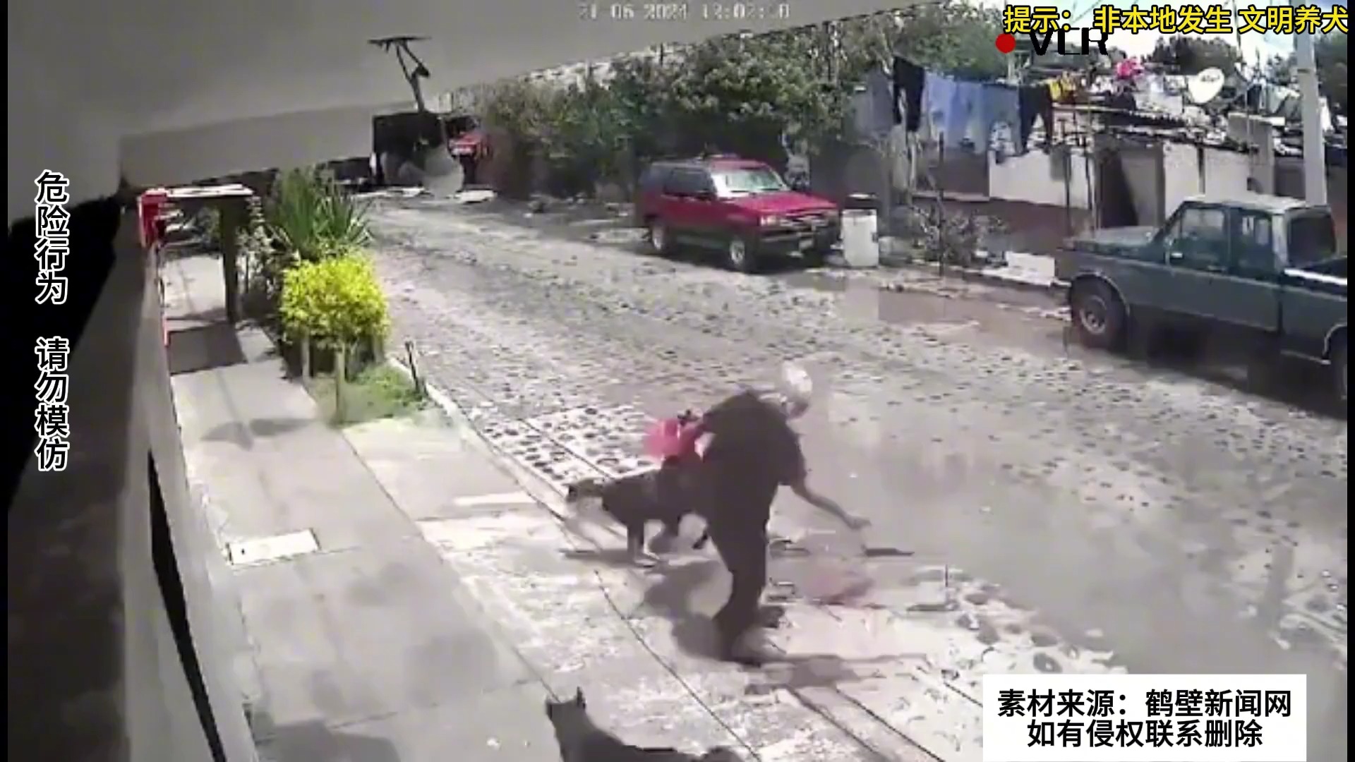 老人在路边遭到几只狗围攻,追着撕咬 站都站不起来