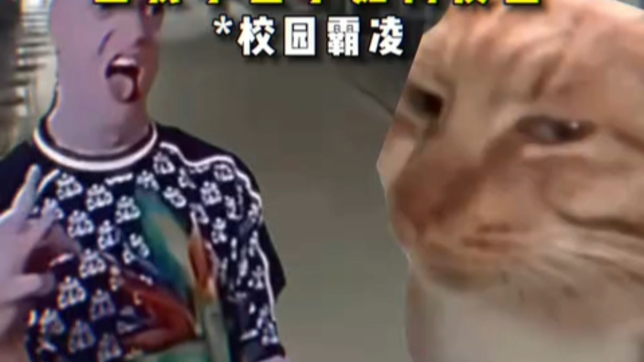 我学会了如何反击1-74