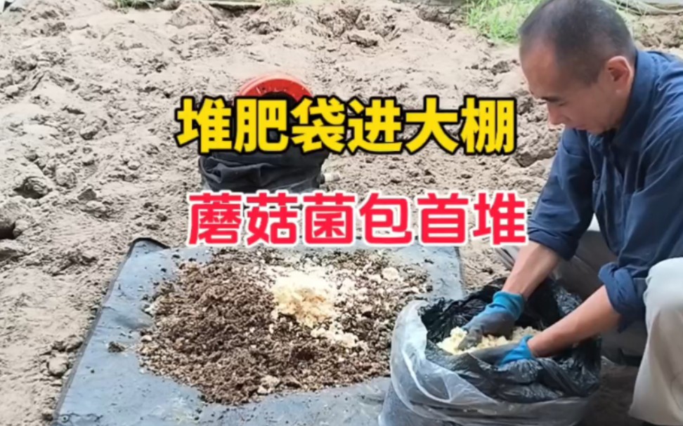 大棚内蘑菇菌包首次堆肥,能成功吗?-瘦叔堆肥-瘦叔堆肥-哔哩哔哩视频