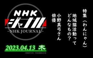 【NHK・ジャーナル】2023.04.13 木 / 特集:わんにゃんジャーナル 地域猫活动ってどんなもの? / 小野真弓さん(俳优)哔哩哔哩bilibili