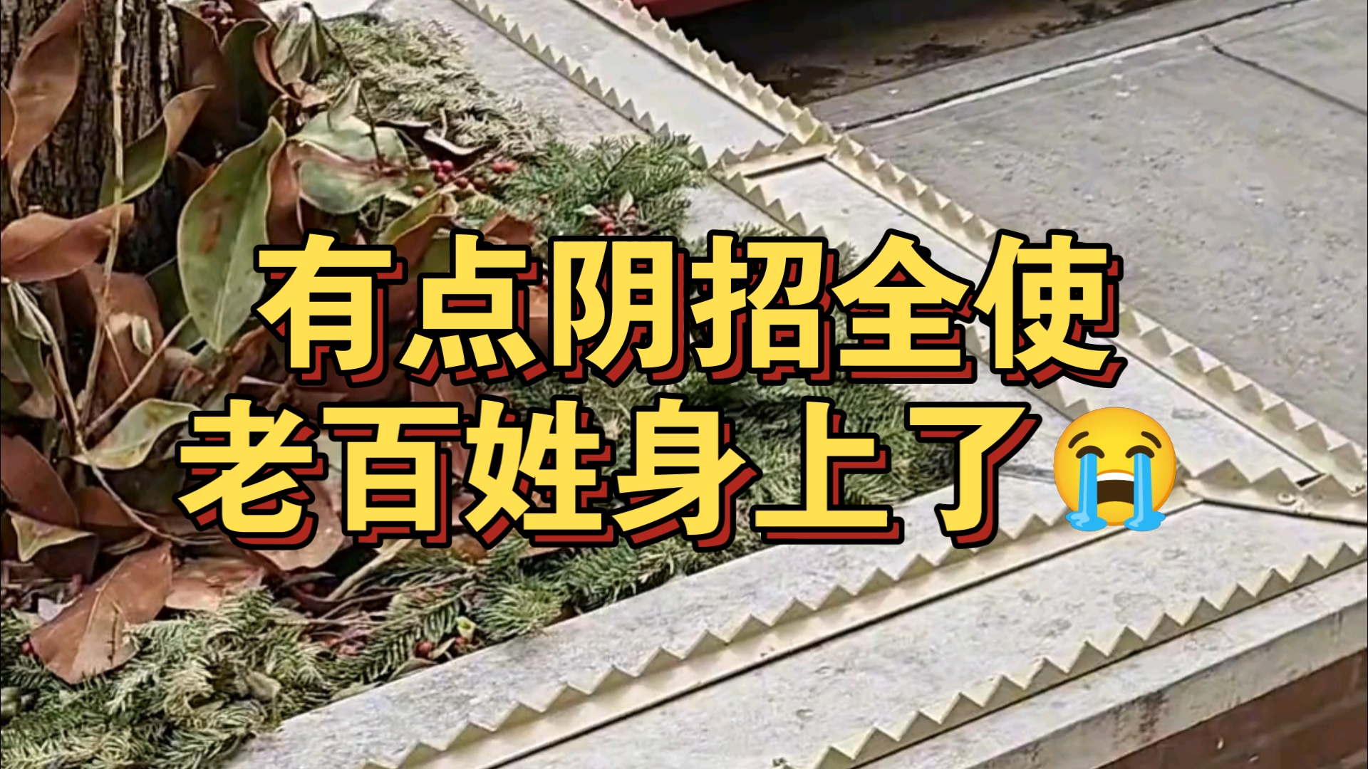 有点阴招全使老百姓身上了😭
