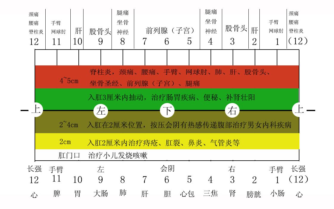 周嘉荣宗筋疗法 (3)哔哩哔哩bilibili