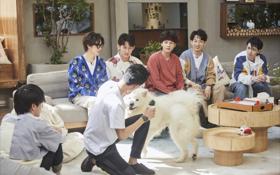 【名侦探学院|合宿篇】七人一狗,平凡的一天,岁月静好(纬钧多一点)