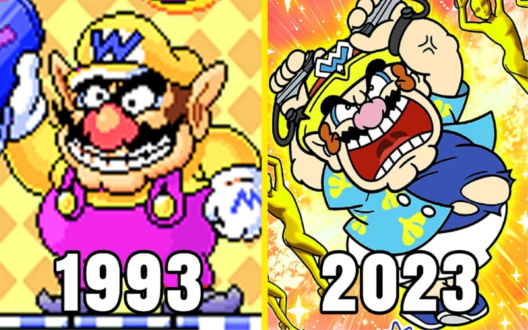 瓦里奥Wario [游戏进化史19932023]游戏集锦