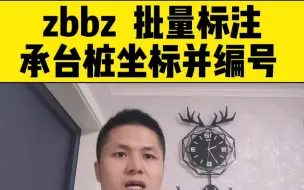 Descargar video: 教你用zbbz批量标注承台桩坐标并编号