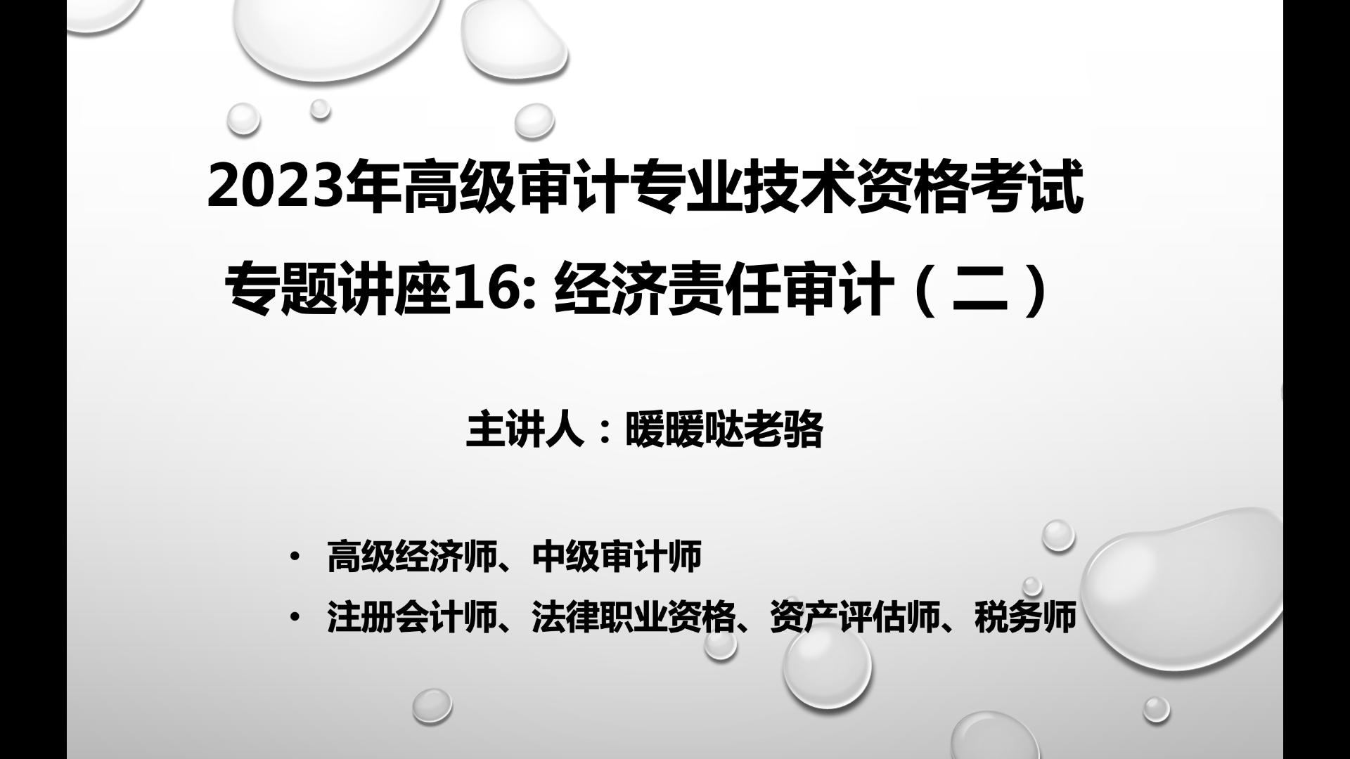 2023年高级审计师奋战计划第103期:《高级审计实务》专题讲座16—经济责任审计(二)哔哩哔哩bilibili