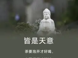 皆是天意