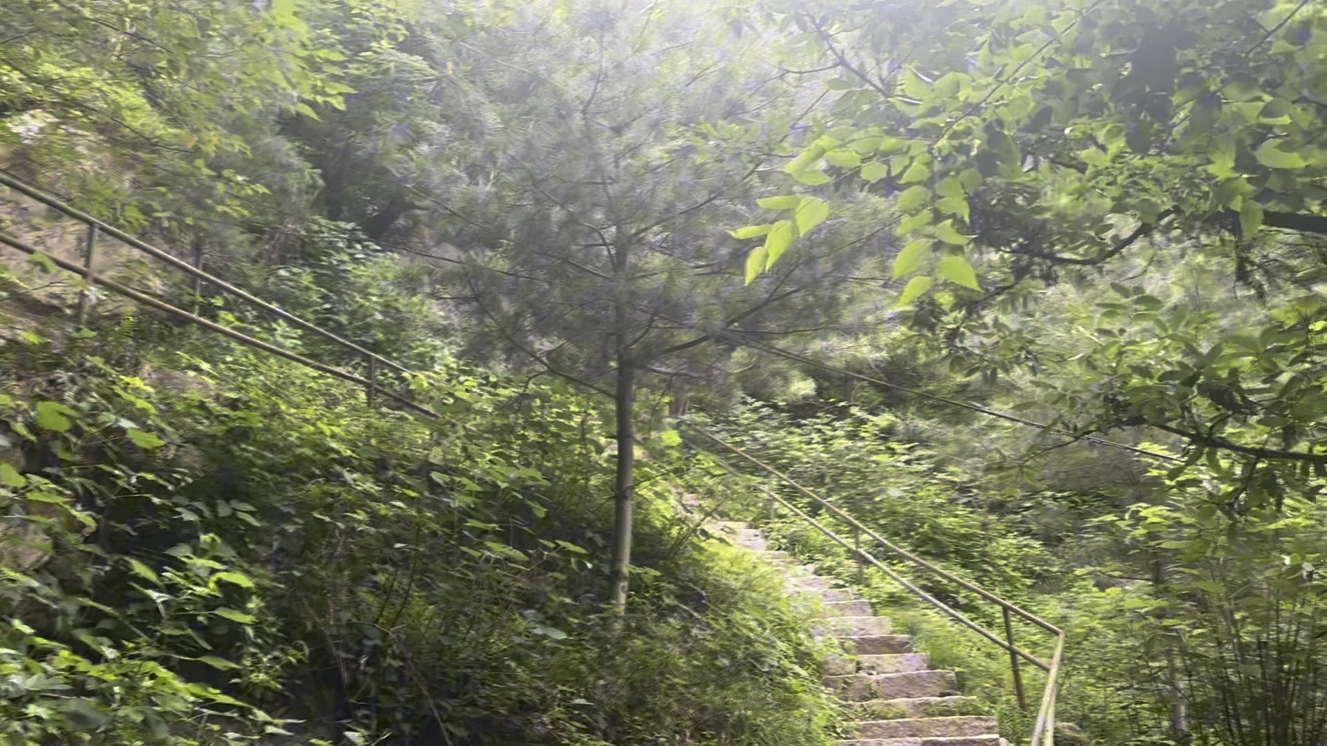 实拍西安秦岭净业寺登山全过程,绝美风景太难得.很多人半途而废哔哩哔哩bilibili