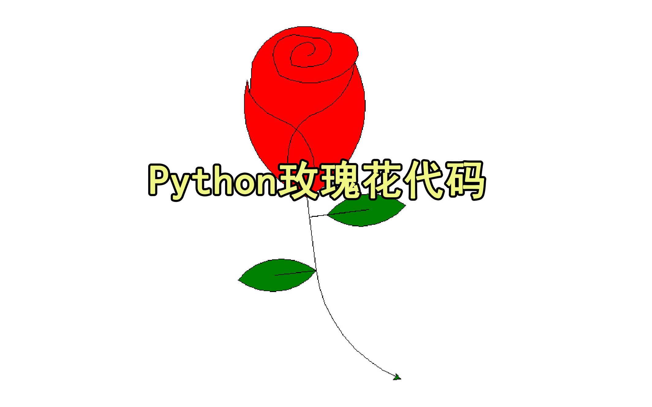 python画玫瑰花图片