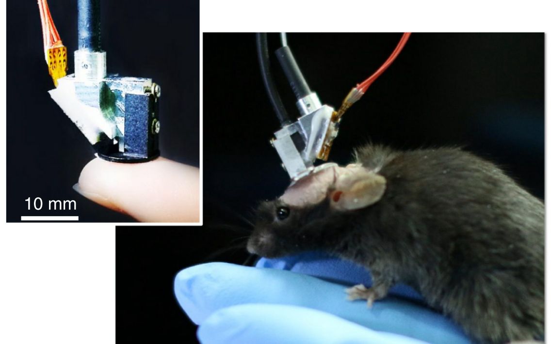 新一代微型化高分辨率双光子显微镜的诞生