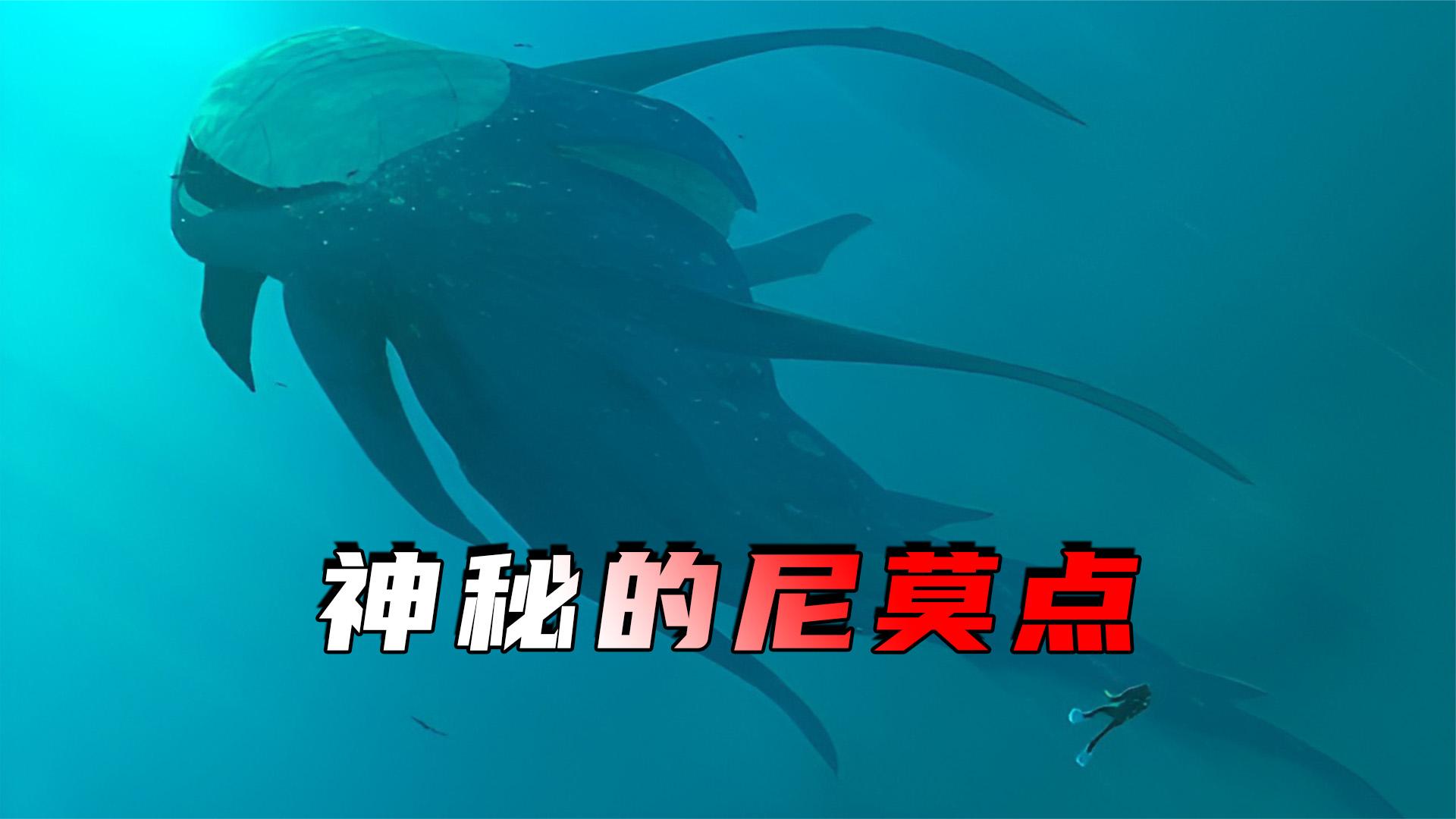 地球上最孤独的地方!海底传来神秘怪声,尼莫点到底隐藏着什么