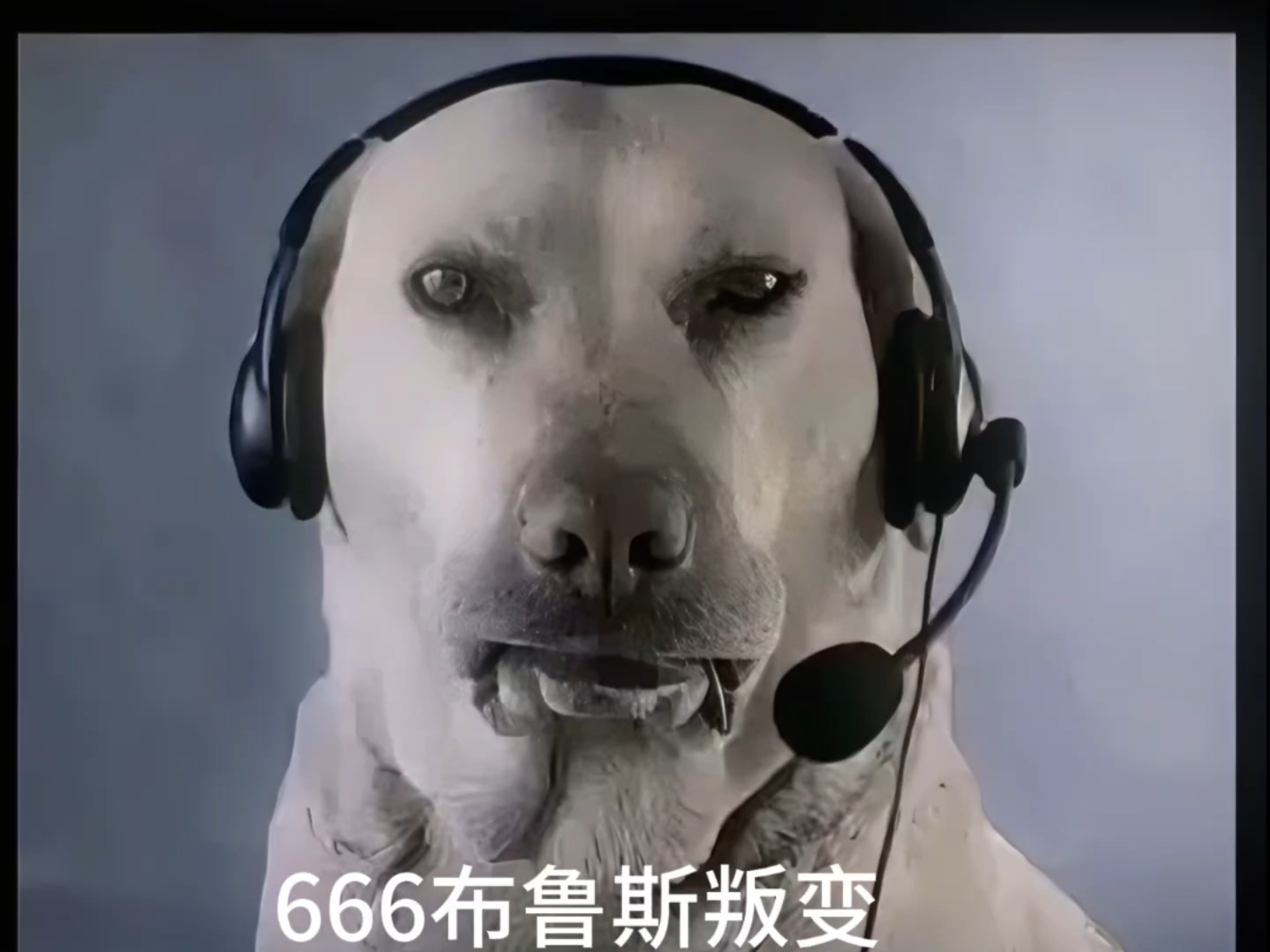 大狗嚼俱乐部清算叛变打手