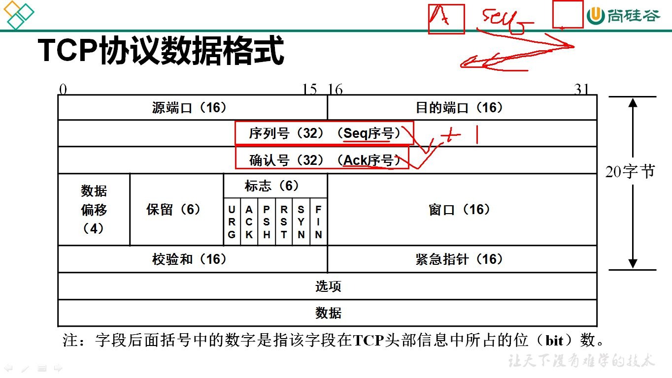 03 尚硅谷Linux运维经典面试题网络基础面试题2哔哩哔哩bilibili