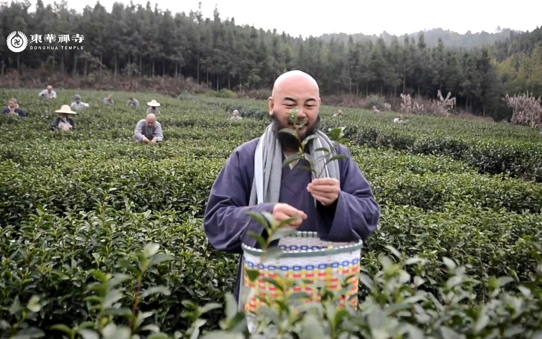 这位老朋友承担了僧人一年的生活费 师父感慨:又见面了哔哩哔哩bilibili