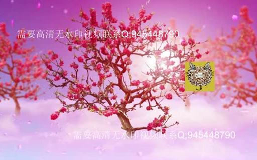 105.梅花泪 古典舞 LED大屏幕背景视频 原唱音乐 背景led大屏幕视频高清片源我要视频网哔哩哔哩bilibili