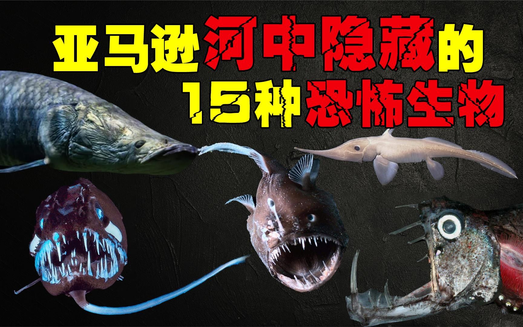 亞馬遜河中隱藏的15大恐怖生物,食人魚墊底,誰才是真正河霸?