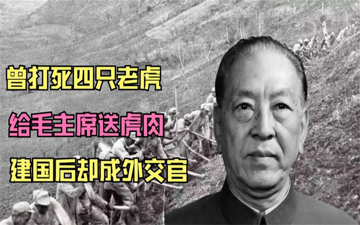 曾打死四只老虎,给毛主席送虎肉,建国后却成外交官哔哩哔哩bilibili