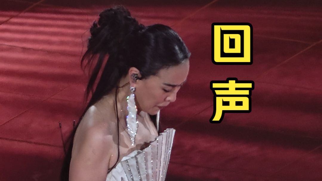 那英北京演唱会（4K竖屏）「回声」