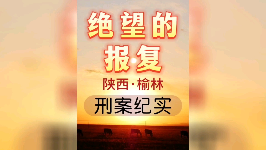 陕西省榆林市米脂县《两名女孩的复仇》哔哩哔哩bilibili