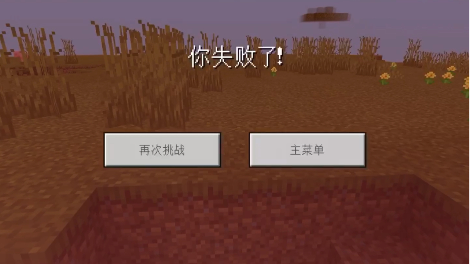 我的世界你失败了