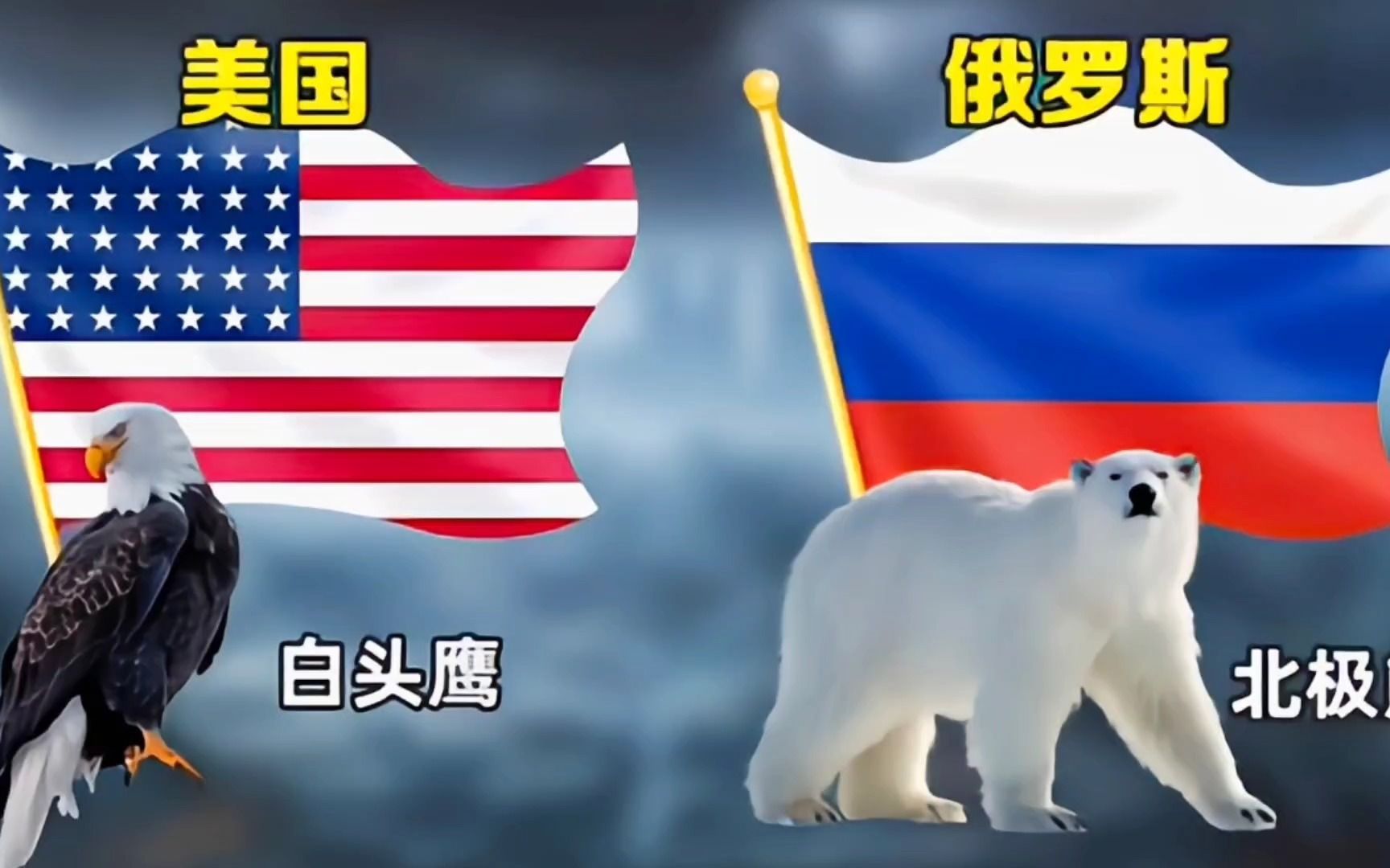 苏联熊和美国鹰图片