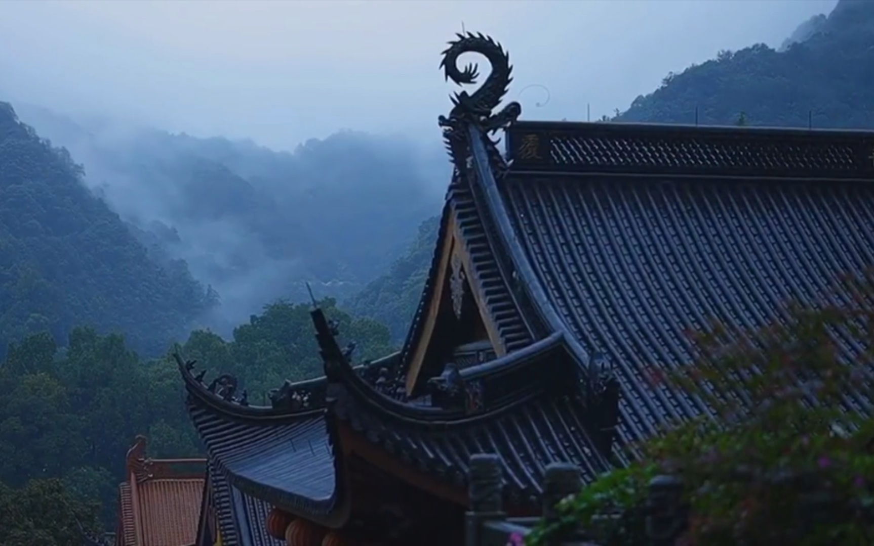 [图]“一川烟草，满城风絮，梅子黄时雨”