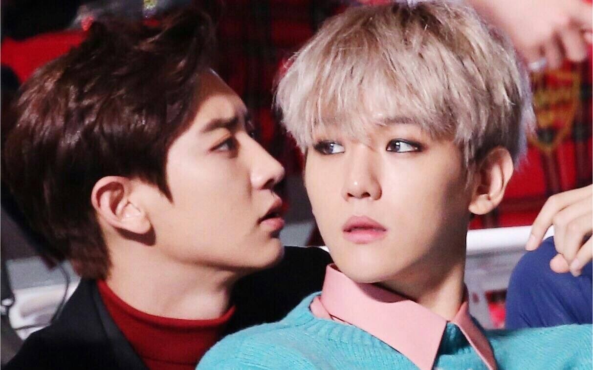 【灿白】我的cp天天发糖