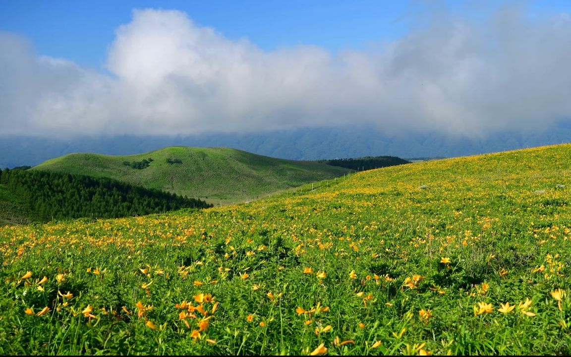 【超清日本】第一视角 夏季美丽的雾峰・车山高原 (4K测试视频) 2020.7哔哩哔哩bilibili