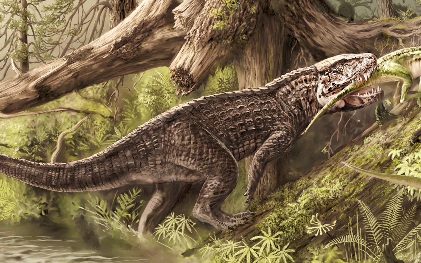 恐龙时代最大的鳄鱼图片