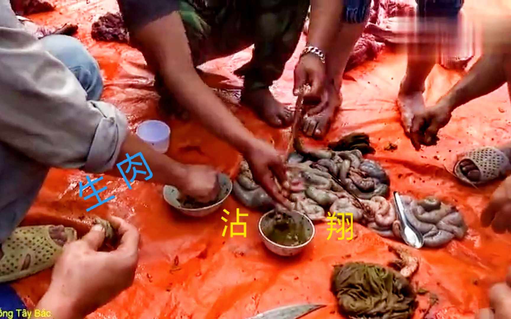 越南生肉大餐让人惊悚什么日本金粒餐都弱爆了