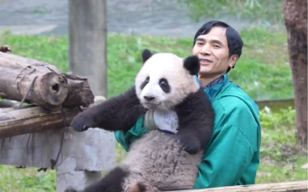 莽小五在外公身边好温柔啊