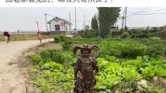 ⚡网友们的神评论（781）⚡快乐每一天