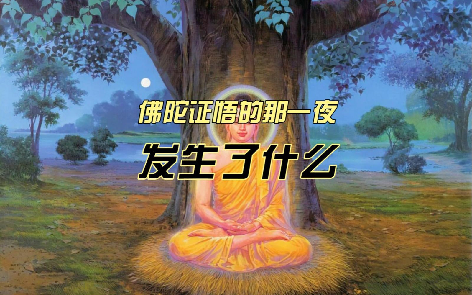 佛陀证悟的那一夜,发生了什么哔哩哔哩bilibili