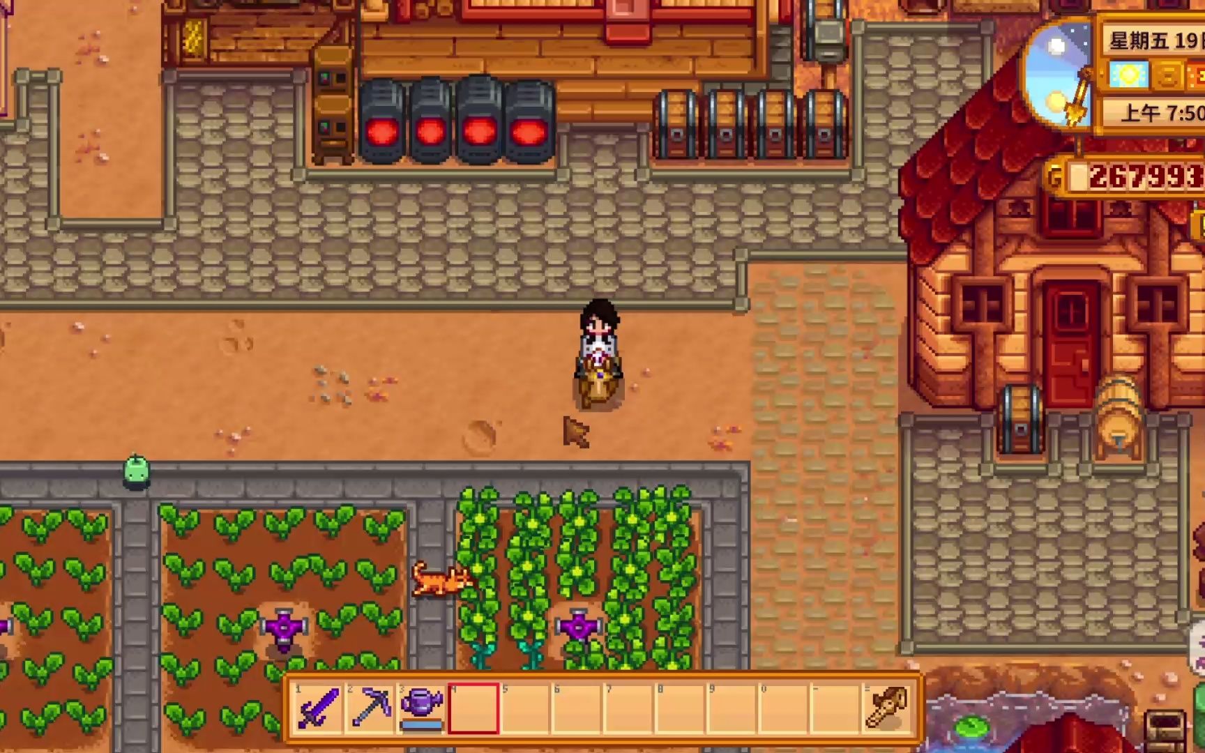 星露谷物语sve 第二年秋19-20_单机游戏热门视频