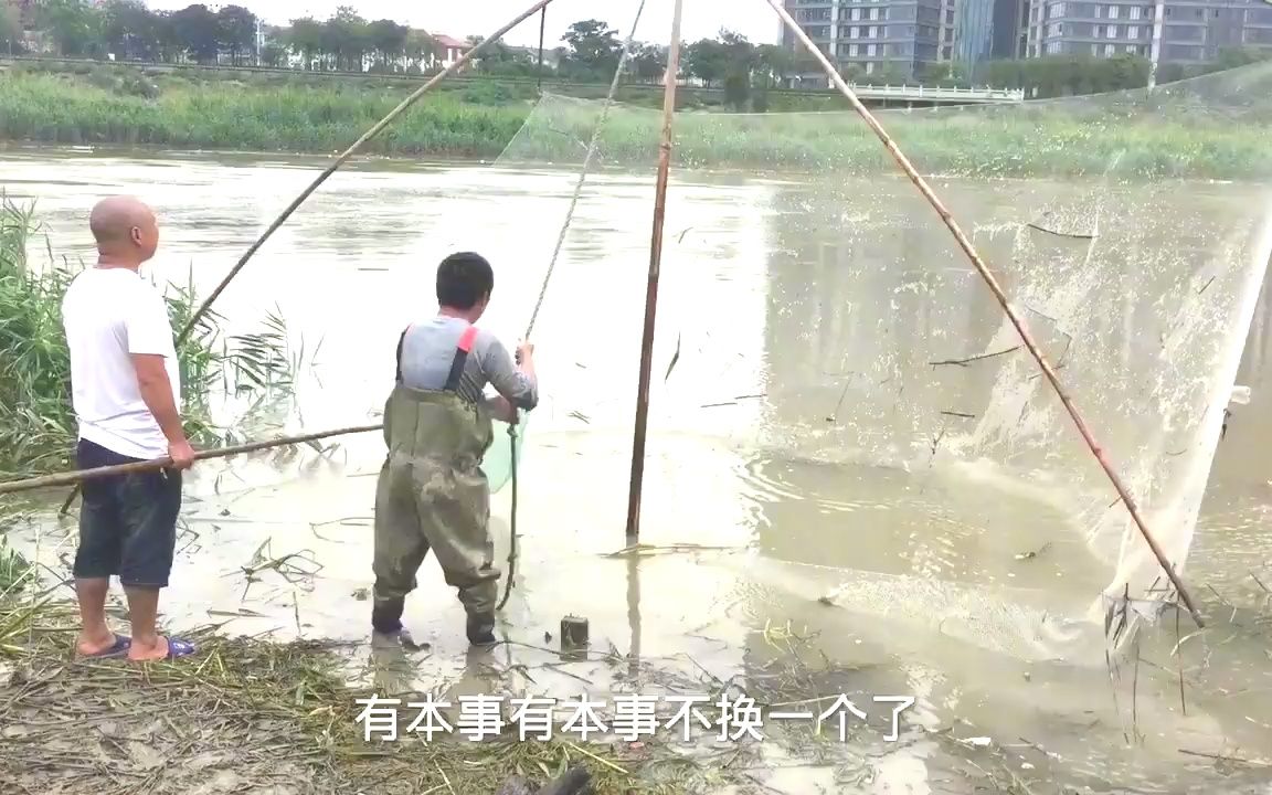 一年一度六月天文潮来了,大水漫过闸口防护堤,村里人提网抓大鱼哔哩哔哩bilibili