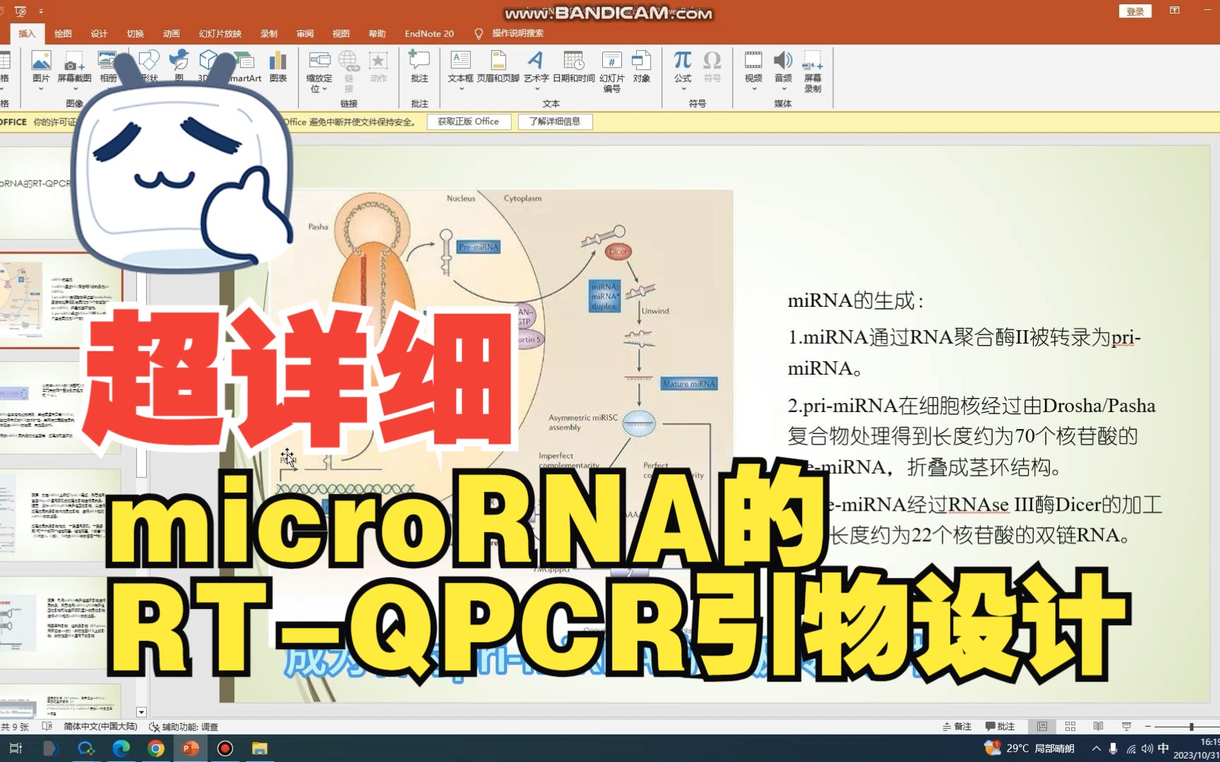 【引物设计02】手把手教你microRNA的RTQPCR引物设计视频!哔哩哔哩bilibili