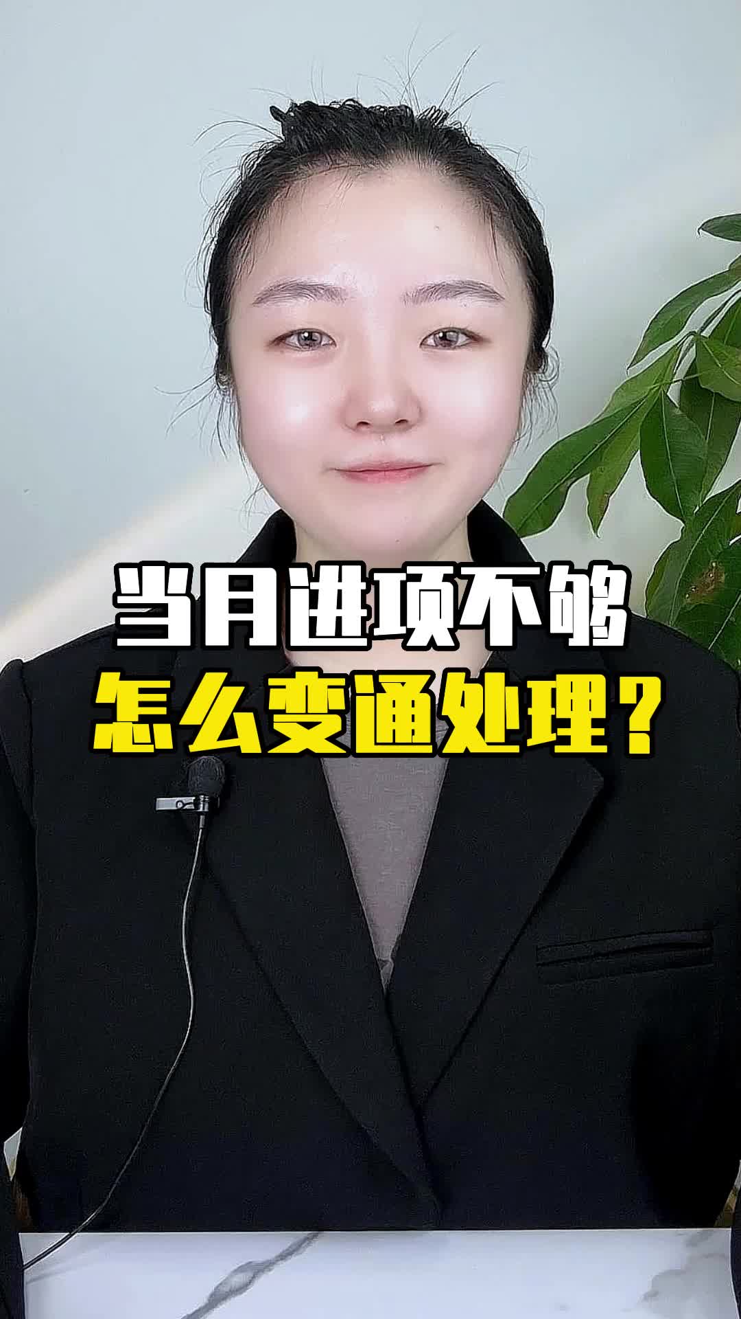 当月进项实在不够,下个月就到了,怎么变通处理?哔哩哔哩bilibili