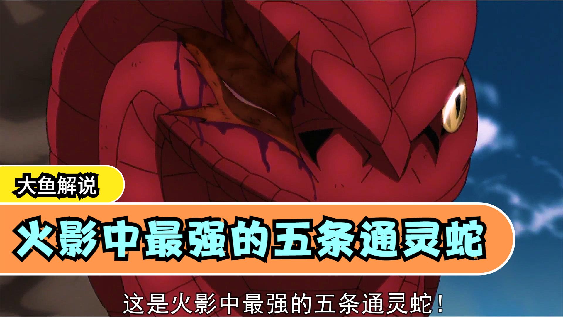 《这是火影中最强的五条通灵蛇!最后一条甚至无法被通灵!》