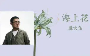 Download Video: 【诗·歌】“是这般柔情的你，给我一个梦想”|《海上花》——罗大佑