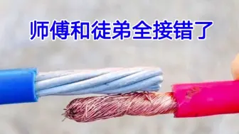 Télécharger la video: 铜线怎么接铝线？老电工靠这个手艺，带了好几个徒弟，全都接错了