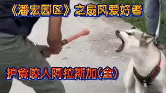 Télécharger la video: 《潘宏园区》之扇风爱好者！护食咬人阿拉斯加(扇风套餐全)