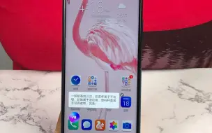 Download Video: 【手机教程】有了荣耀20 PRO，轻松搞定干湿垃圾分类