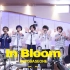 【ZB1】In Bloom电台live版本（GOT7荣宰的好朋友）