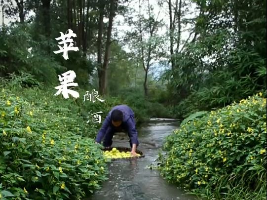 苹果酒酒蒸馏后叫苹果白兰地、酿酒人手工人古法纯粮酿造苹果白兰地哔哩哔哩bilibili