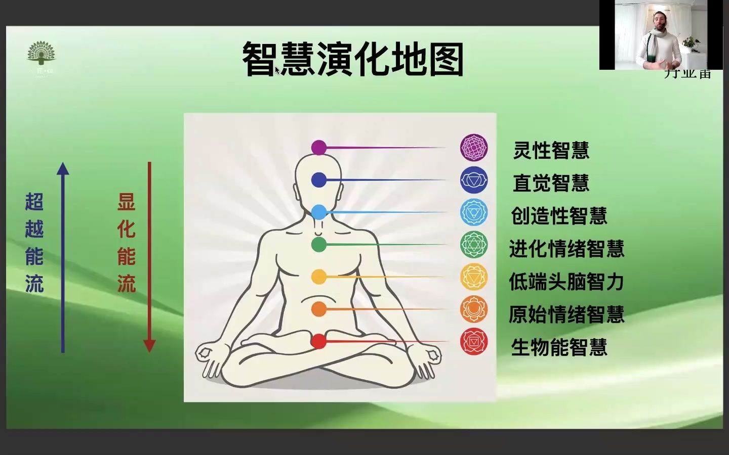 丹亚雷:什么是脉轮?每一个维度都拥有自己独一无二的品质哔哩哔哩bilibili